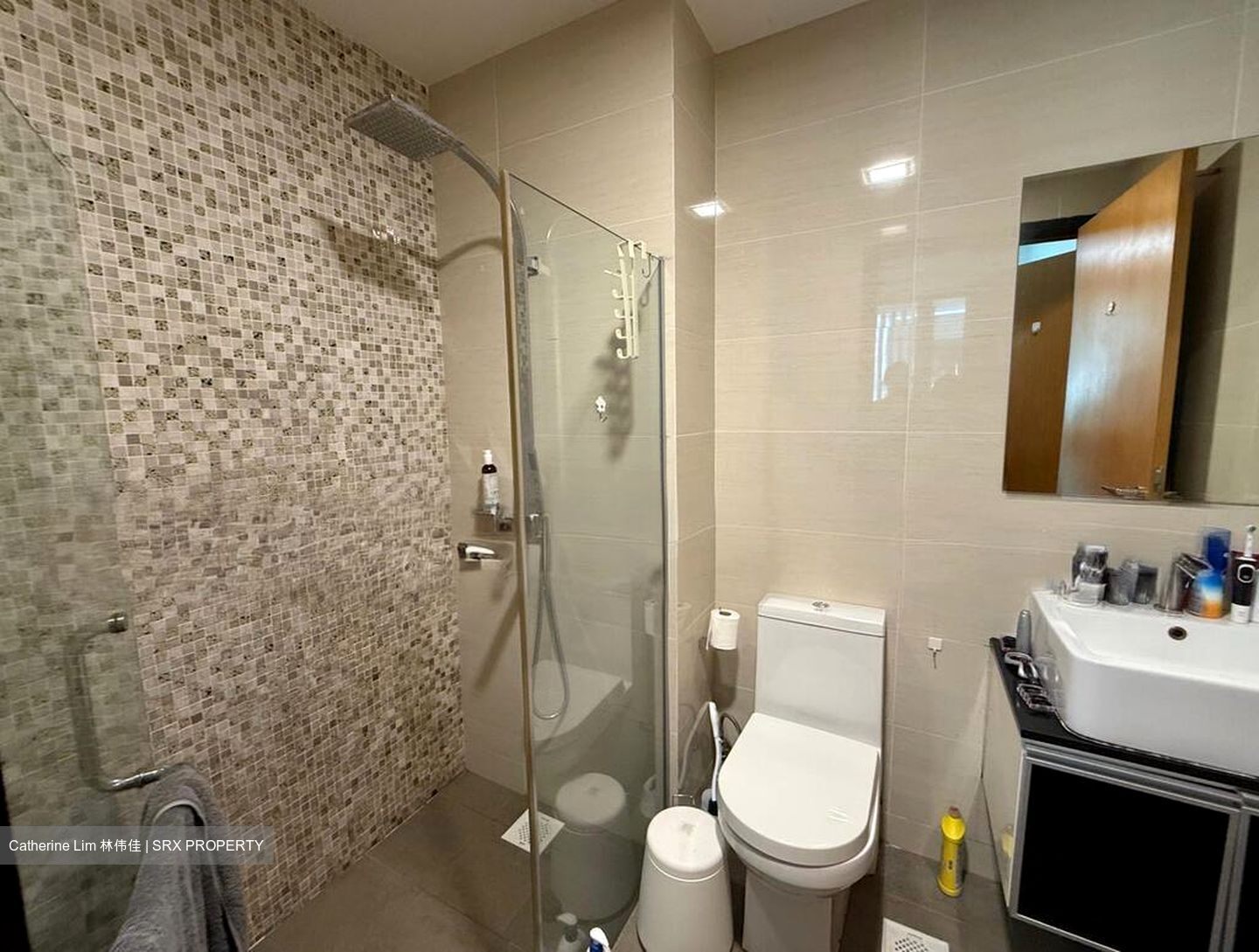 Loft @ Stevens (D10), Apartment #625385781